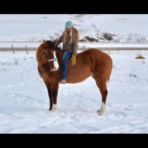 Meet your Posher, Anna